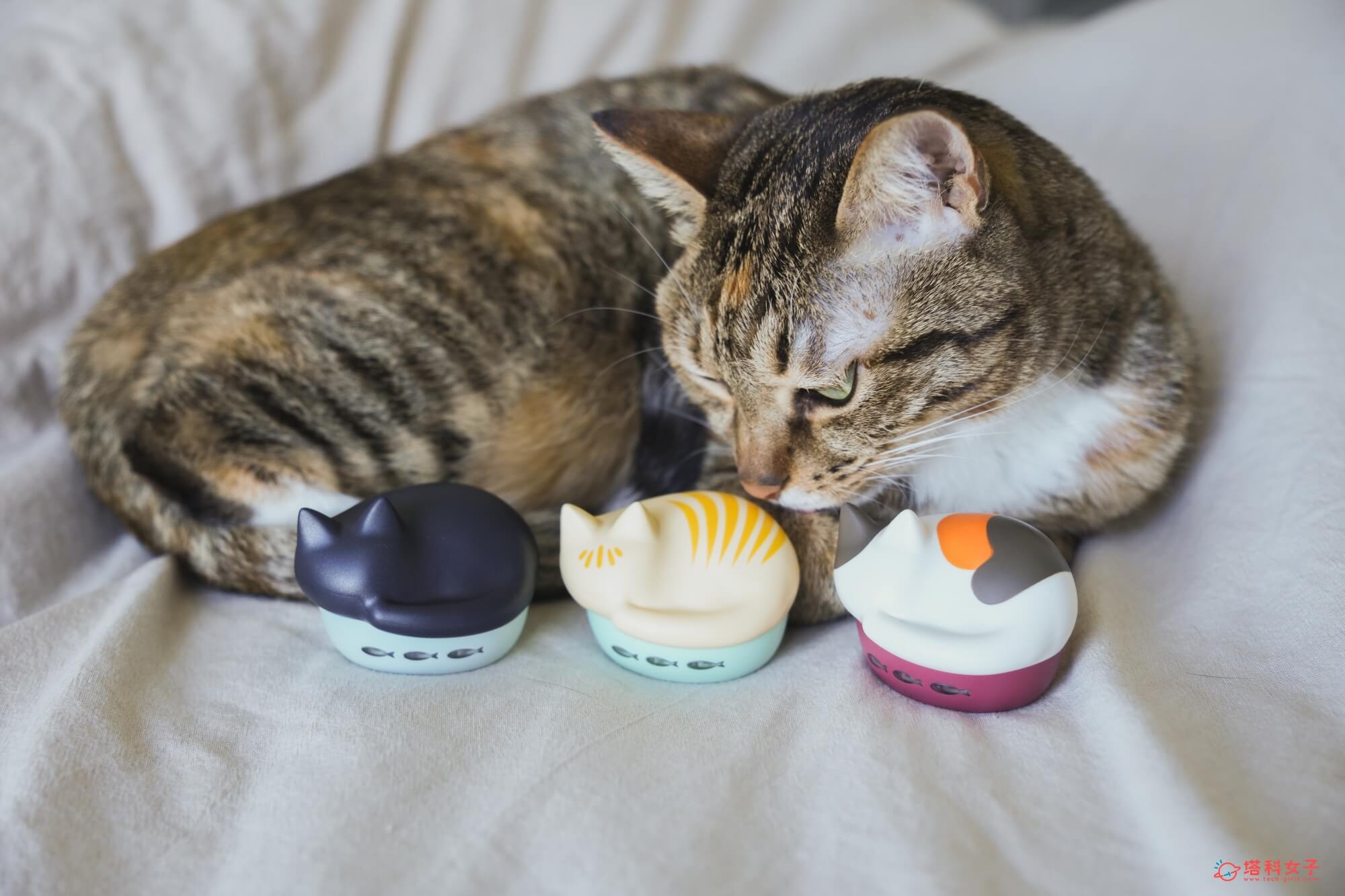 日本 radius NEKO 貓咪藍牙耳機充電盒 賣一台就捐款