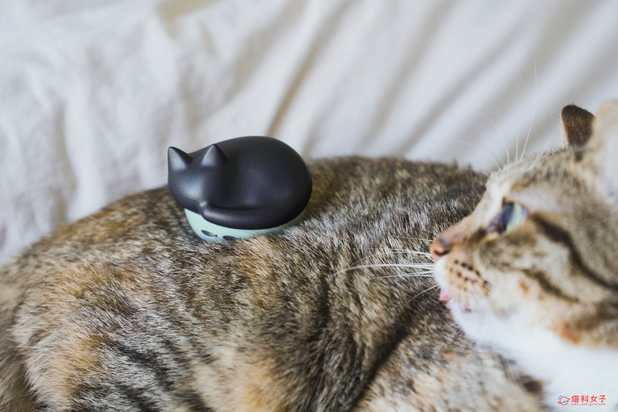 日本 radius NEKO 貓咪藍牙耳機