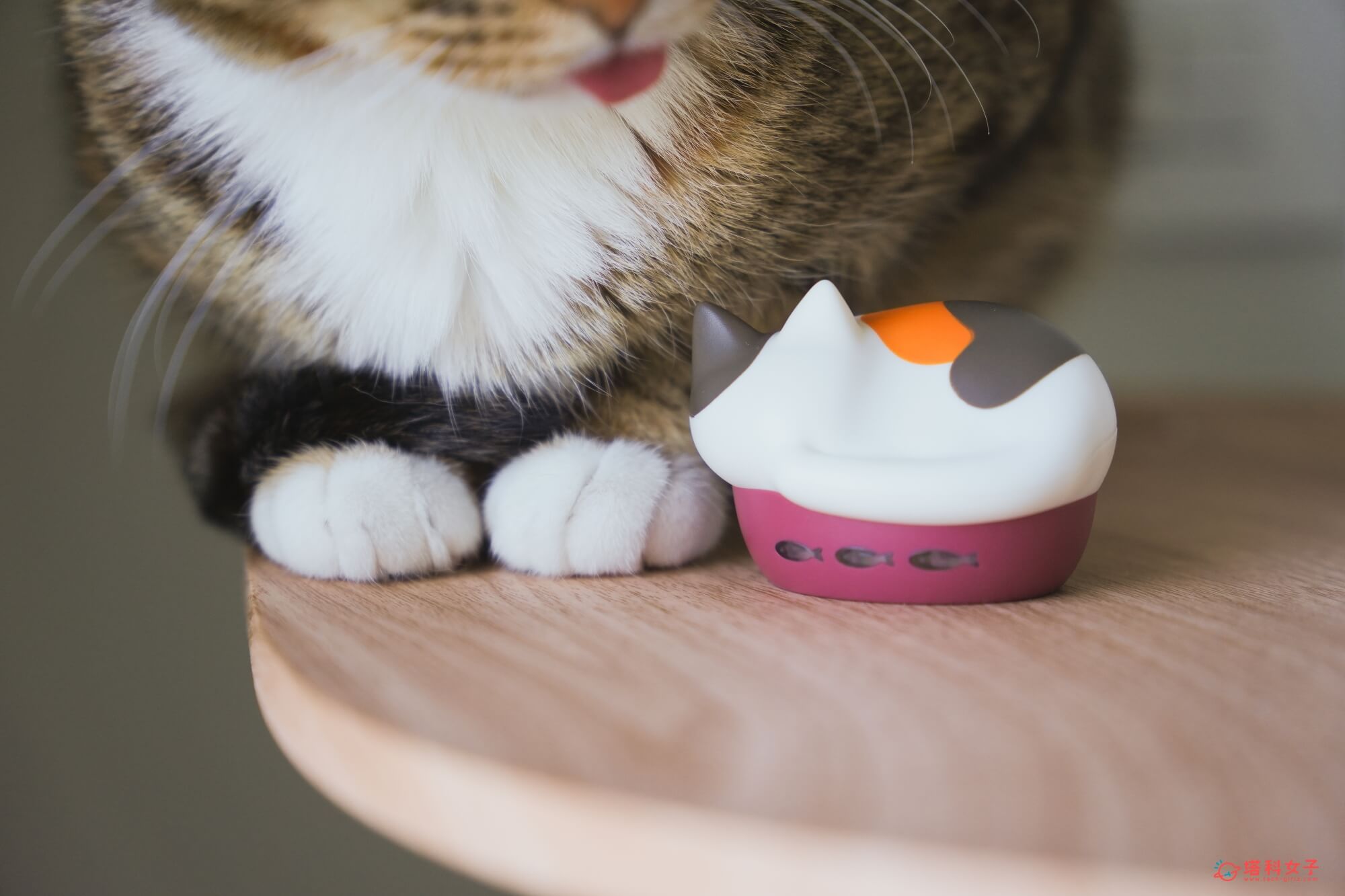 日本 radius NEKO 貓咪藍牙耳機充電盒 安心耐用