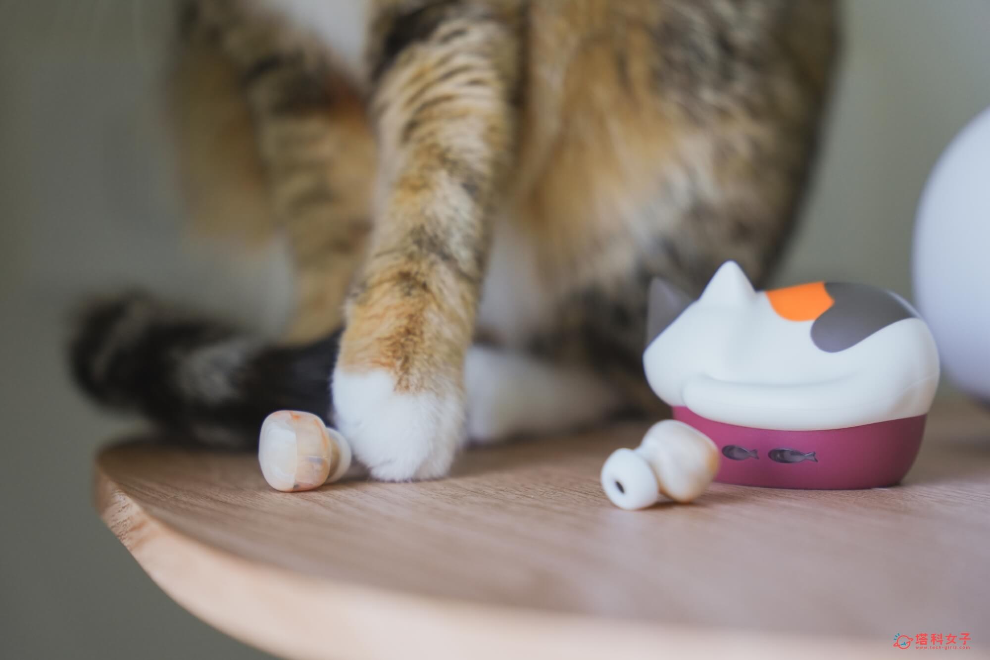 日本 radius NEKO 貓咪藍牙耳機充電盒 大理石花紋