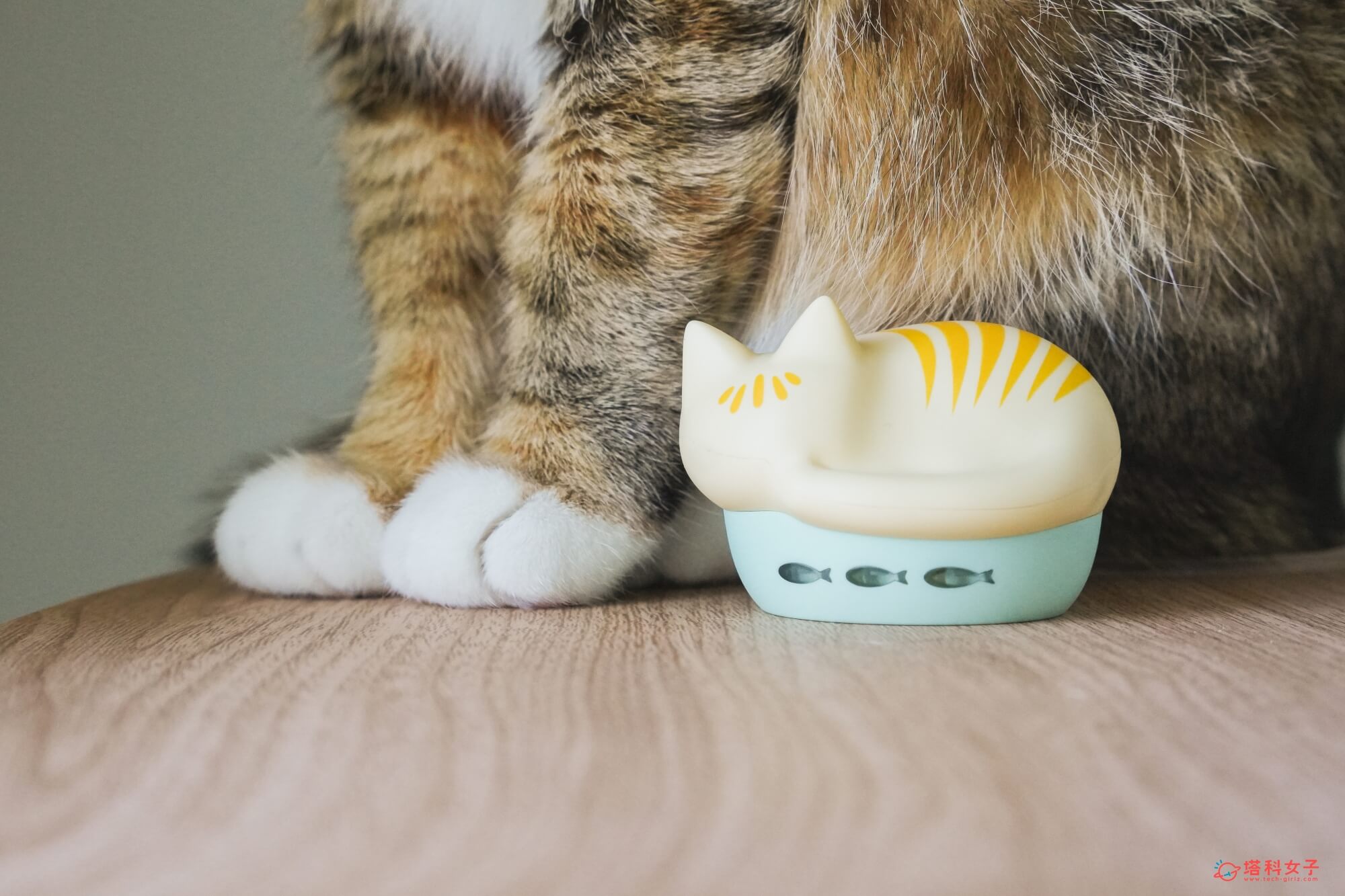 日本 radius NEKO 貓咪藍牙耳機充電盒 魚形LED燈