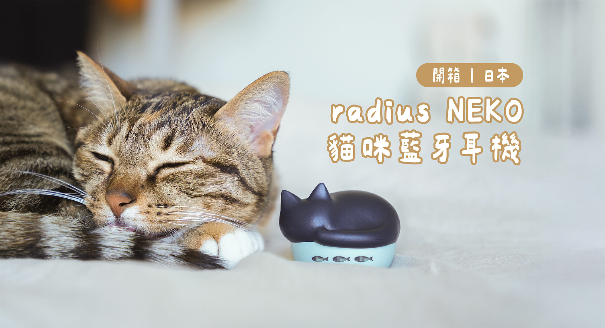 【開箱】史上最可愛的日本 radius NEKO 貓咪藍牙耳機，真的會喵喵叫！