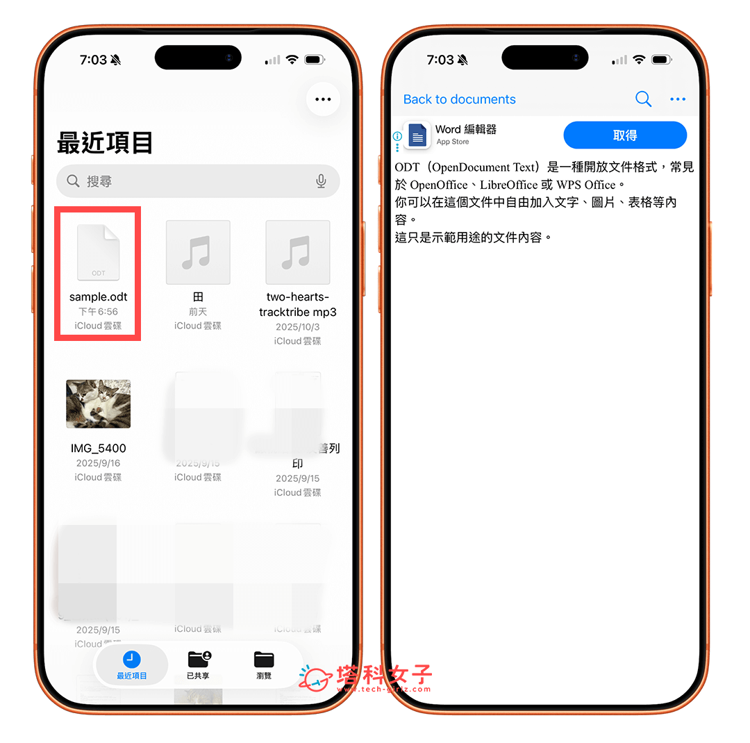 下載 OpenDocument Reader App 