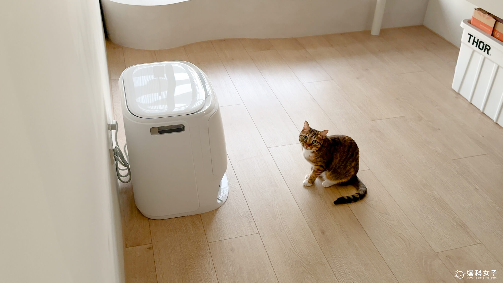 Narwal 雲鯨 Freo Z10 評價與使用心得