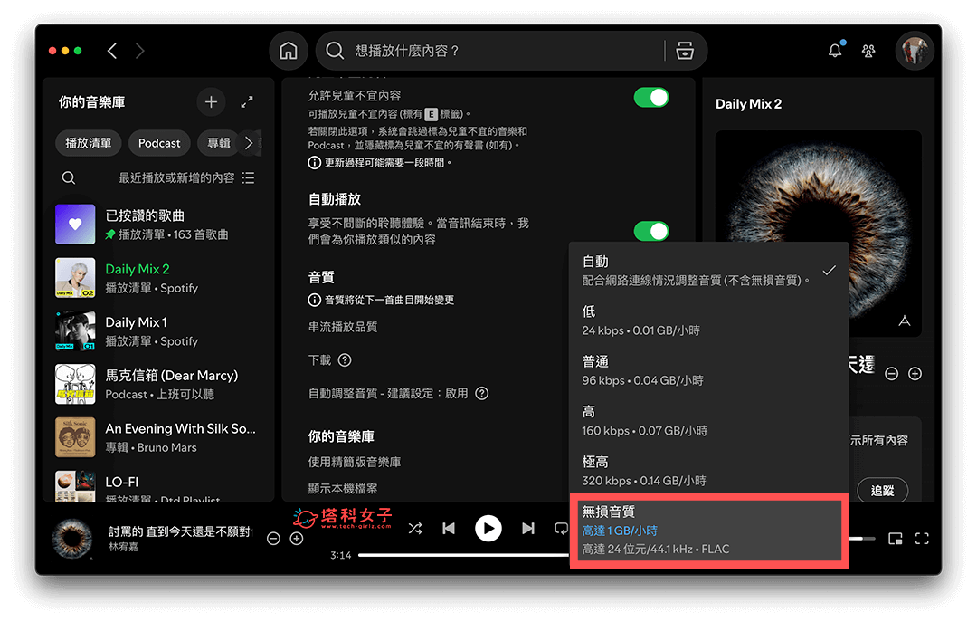 Spotify 無損音質電腦 設定