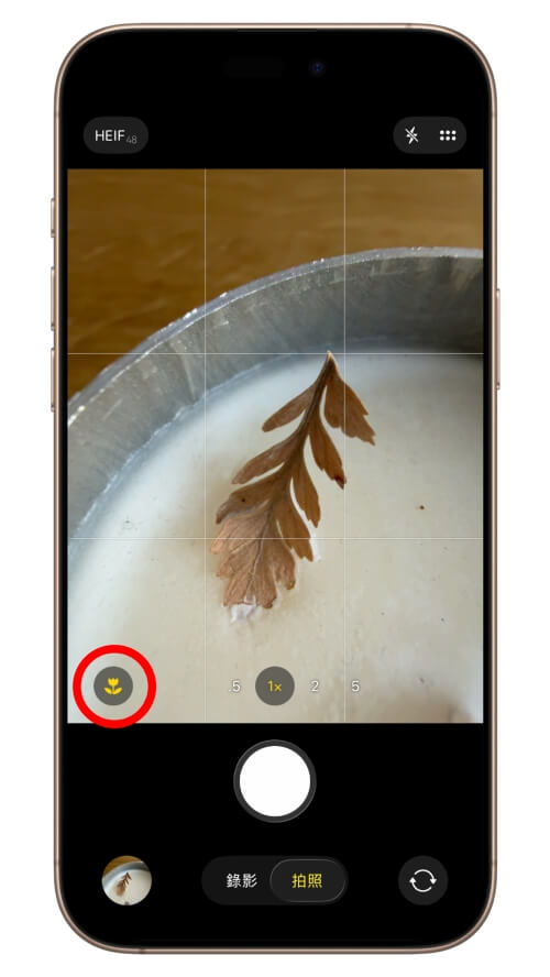 iPhone 相機 花 圖示