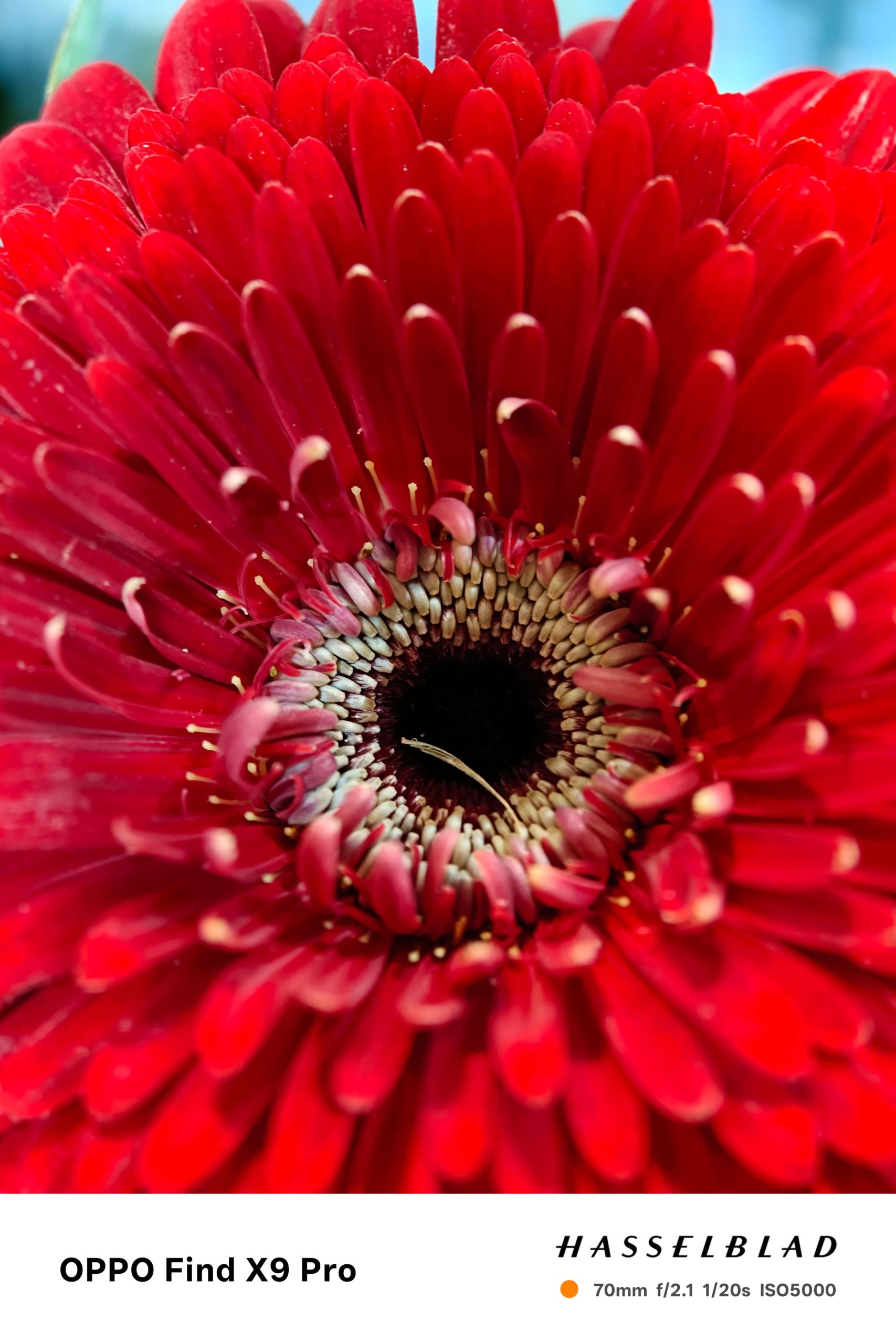 OPPO Find X9 系列正式登場！影像、效能、續航全面升級　再造「旅拍神機」新標竿 - OPPO Find X9, 旅拍神機, 首款 2 億畫素哈蘇長焦鏡頭 - 塔科女子