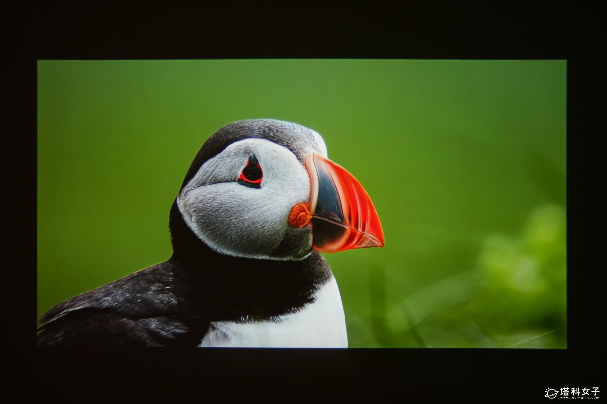 OVO Warpple LA5 投影機開箱：1080P高畫質