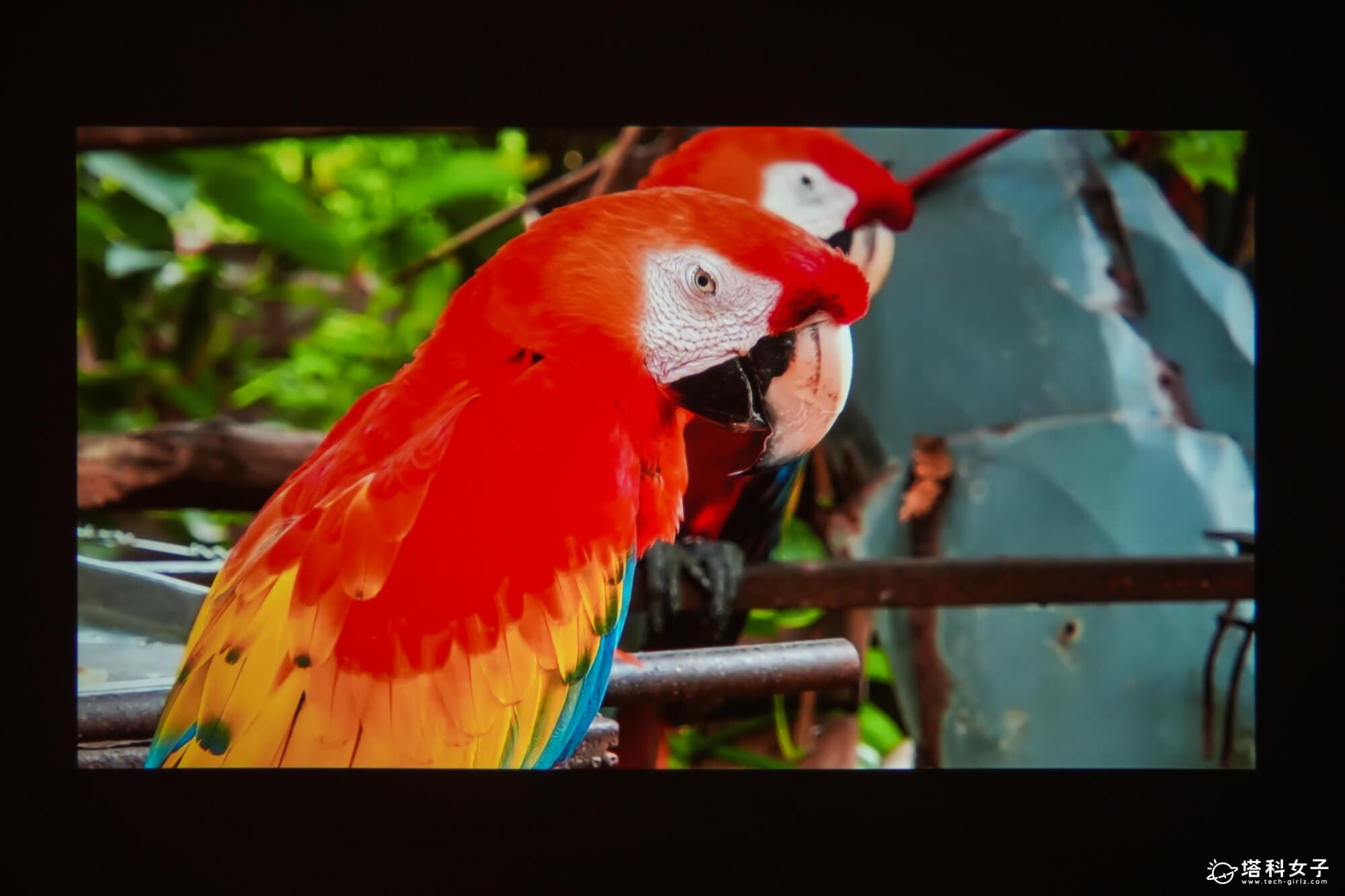 OVO Warpple LA5 投影機開箱：1080P高畫質