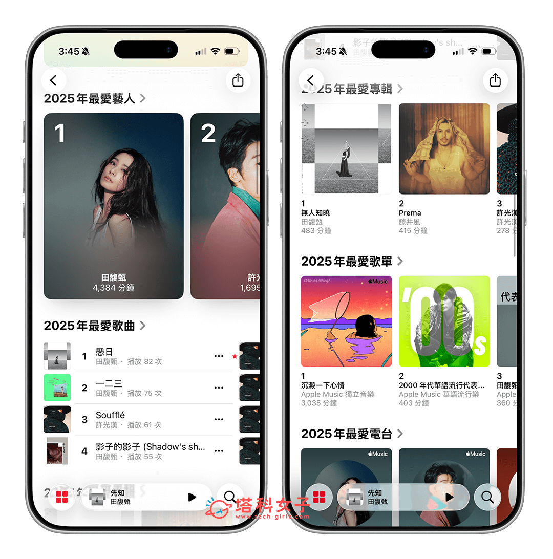查看 Apple Music 單一類別回顧 2025
