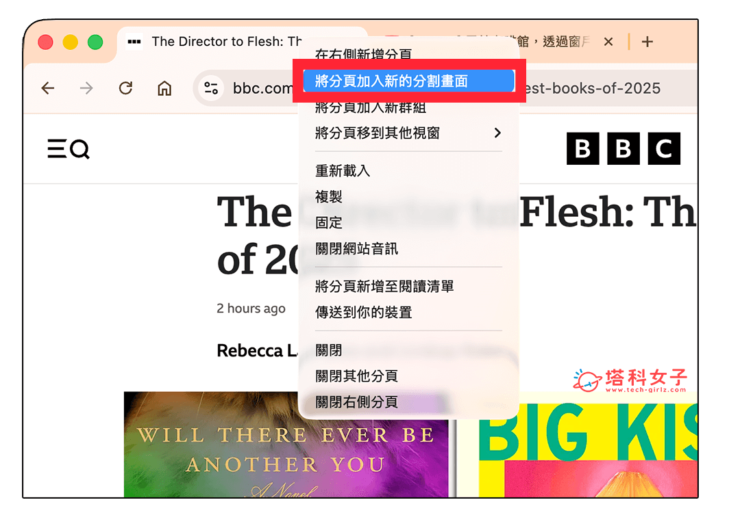Google Chrome 分割畫面功能: 將分頁加入新的分割畫面