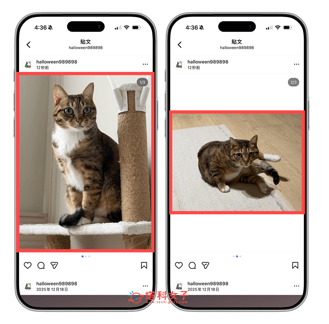 IG 直的橫的一起放