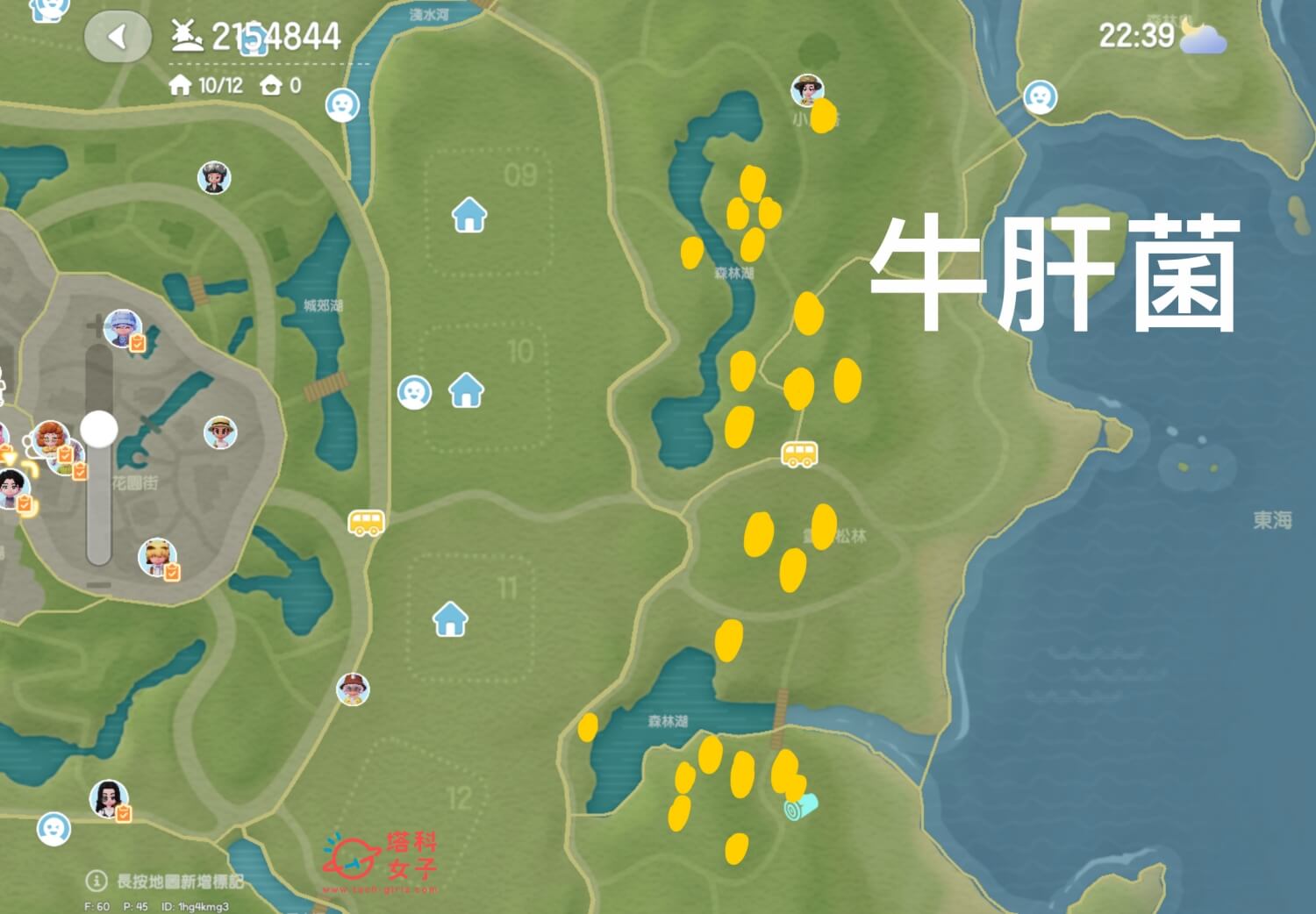 心動小鎮 牛肝菌位置