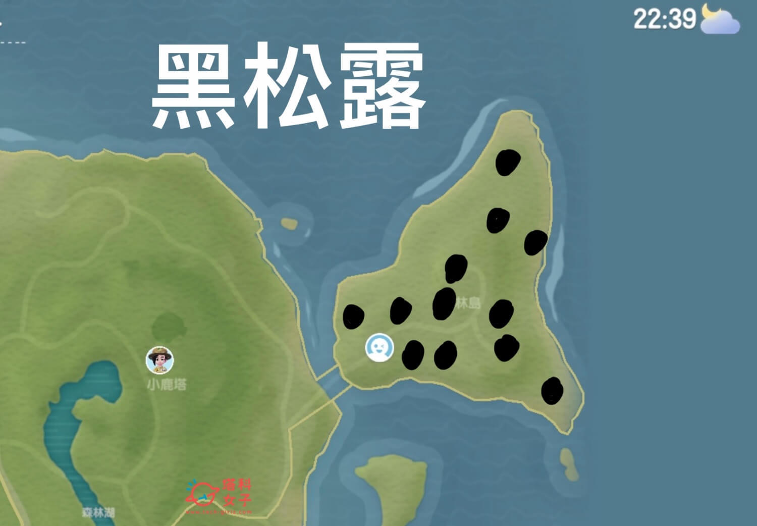 心動小鎮 黑松露位置