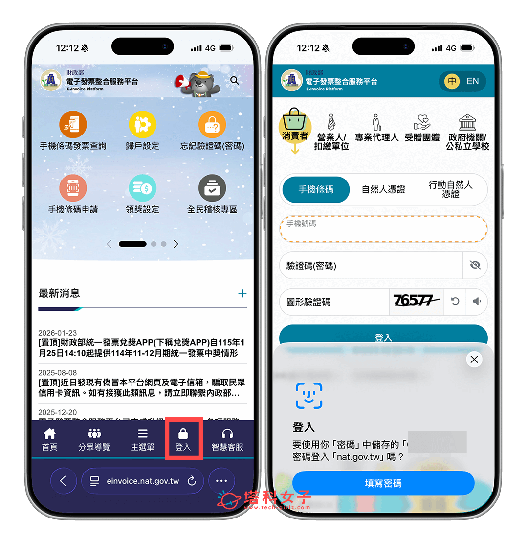 Apple 發票歸戶:登入財政部發票平台