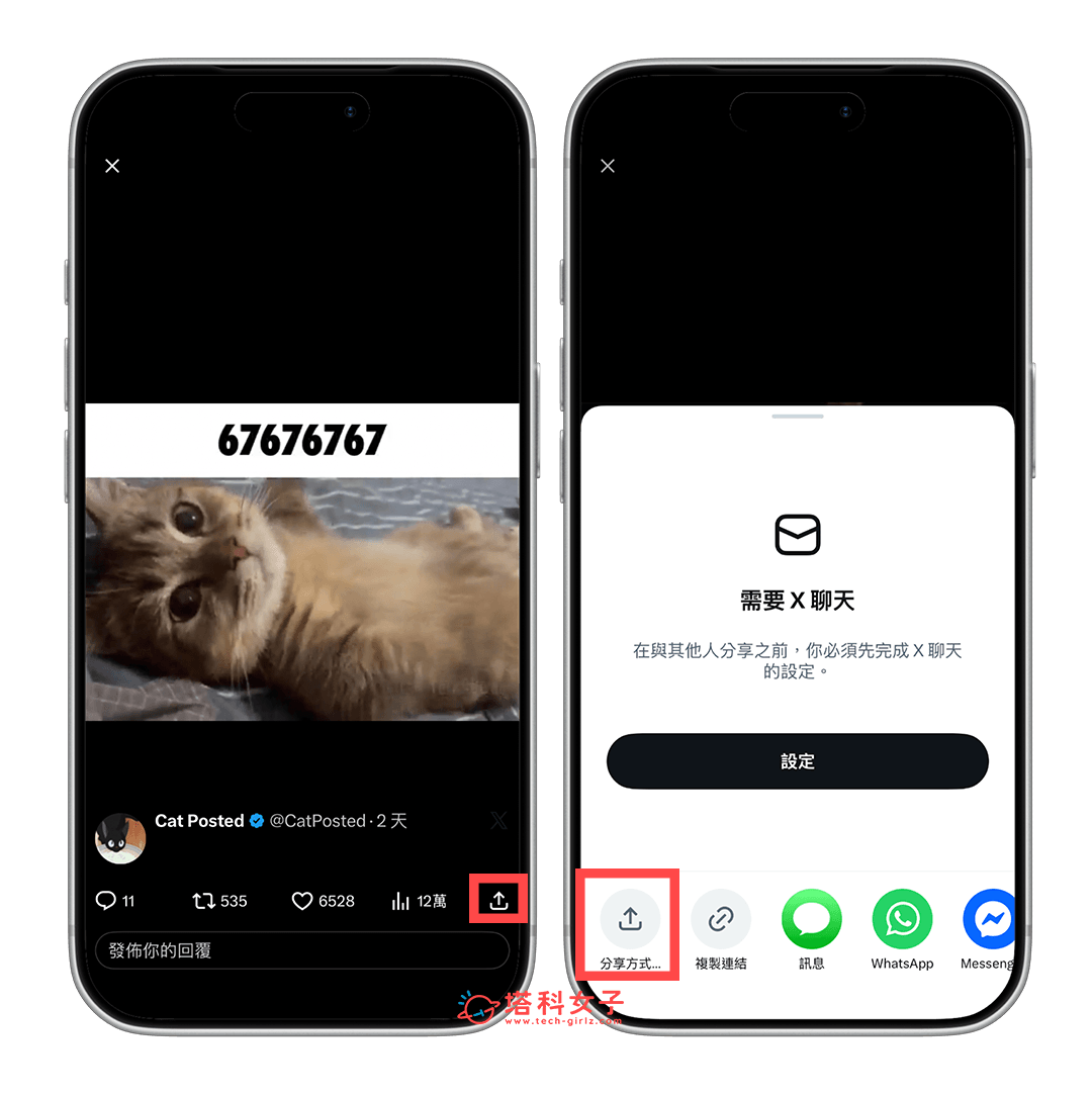 在 X 影片或 GIF 上點選分享
