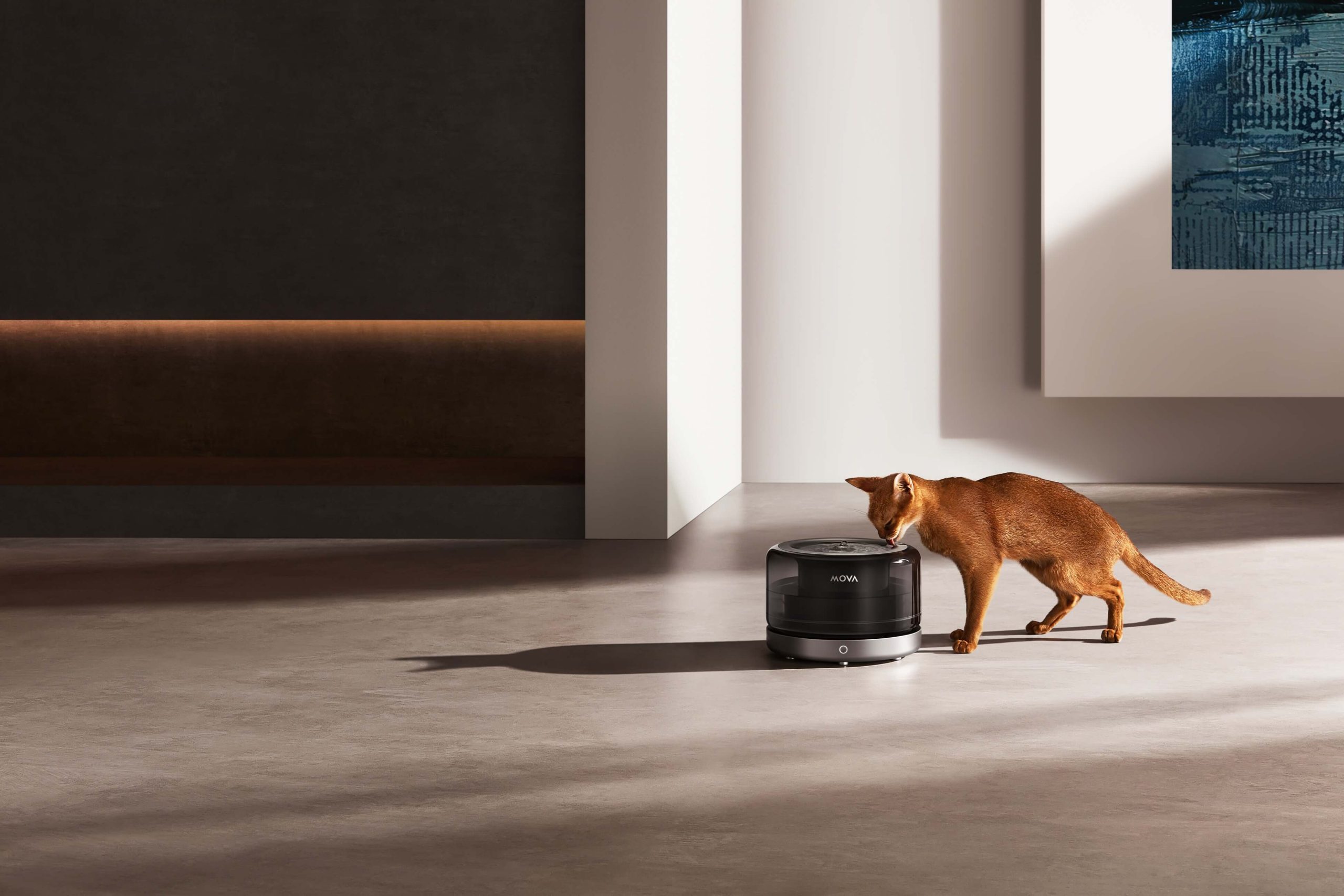 恆隆行全新代理 AI 智慧品牌 MOVA！聚焦清潔與寵物家電，8 款新品同步登場 - HydroForce™ 深壓活水技術, MOVA, MOVA S70 Ultra Roller, S70 Roller, 寵物家電, 鎖定清潔 - 塔科女子