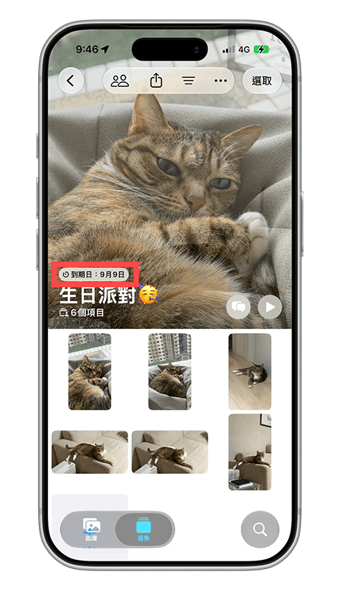 建立 iPhone 暫時共享相簿：顯示到期日